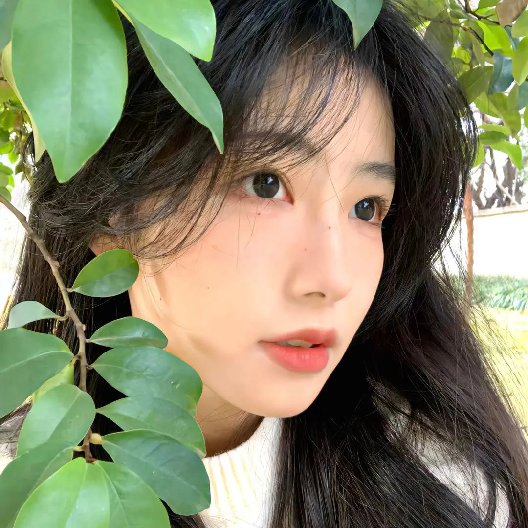 机遇之歌